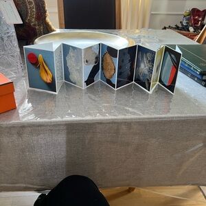 Hermes Artistic Accordion Photo Display. Gorgeous and will
Make your room pop!